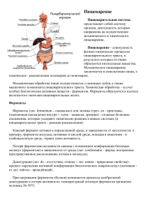 пищеварительная система конспект