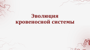 8 класс. Эволюция кровеносной системы.