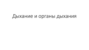 дыхание и органы дыхания