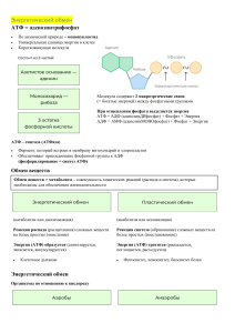 7. Энергетический обмен К