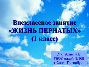 Презентация Жизнь пернатых