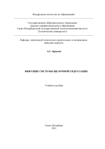 Вяжущие системы щелочной гидратации (Брыков А.С.)