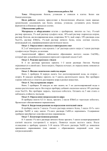 Практическая (лабораторная) работа на тему "Белки, жиры, углеводы"