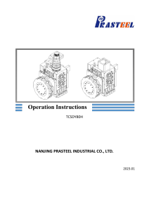 DY80H Manual