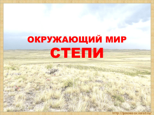 Презентация к уроку окружающего мира  Зона степей  4 класс