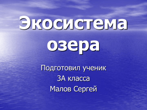 Экосистема озера