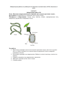 phpxXOz7V laboratornye raboty po uchebniku v. v. pasechnik v sootvetstvii s fgos biologiya 6 klass