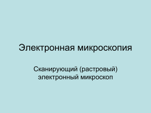 Электронная микроскопия