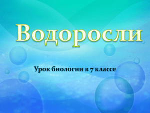 водоросли