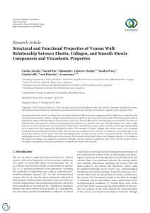 Structural and Functional Properties of Venous Wall  Relationship between Elastin, Collagen, and Smooth Muscle Components and Viscoelastic Properties