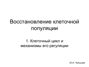 РМ клеточная популяция 1