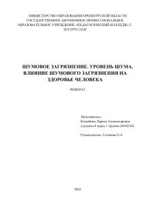 Реферат на тему  ШУМОВОЕ ЗАГРЯЗНЕНИЕ. УРОВЕНЬ ШУМА. ВЛИЯНИЕ ШУМОВОГО ЗАГРЯЗНЕНИЯ НА ЗДОРОВЬЕ ЧЕЛОВЕКА