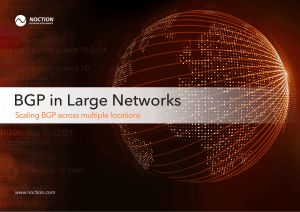 BGP-in-Large-Networks