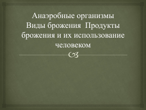 Презентация Анаэробные организмы Виды брожения Продукты брожения и их использование человеком . 10 класс углублённый уровень